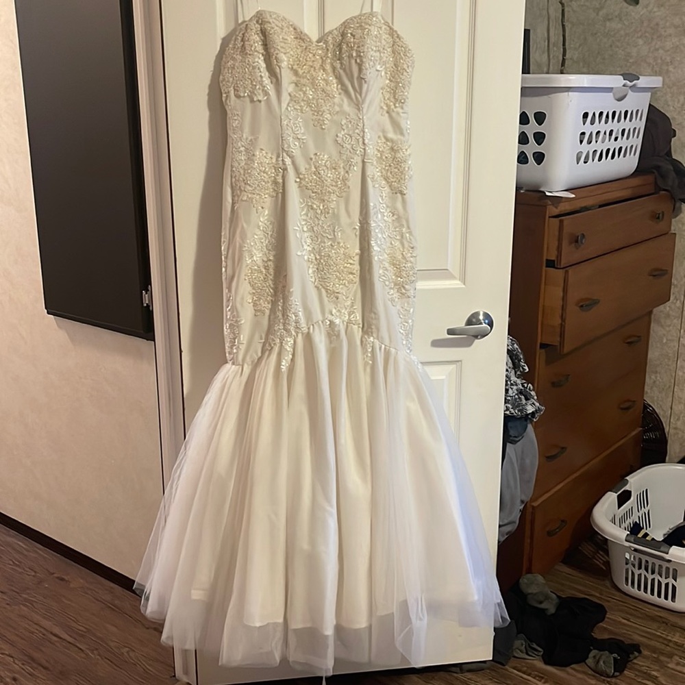 Beautiful Mermaid Lace and Tulle Wedding Dress